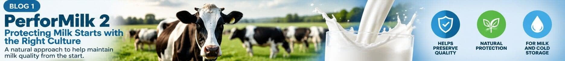 PERFORMILK 2 - NATURAL PROTECTION FOR DAIRY PRODUCTS (1/3)